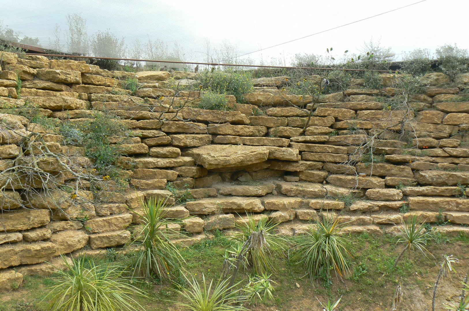 Bioparc Zoo de Doué - Do you spot the hyrax and other species on the photo ?
