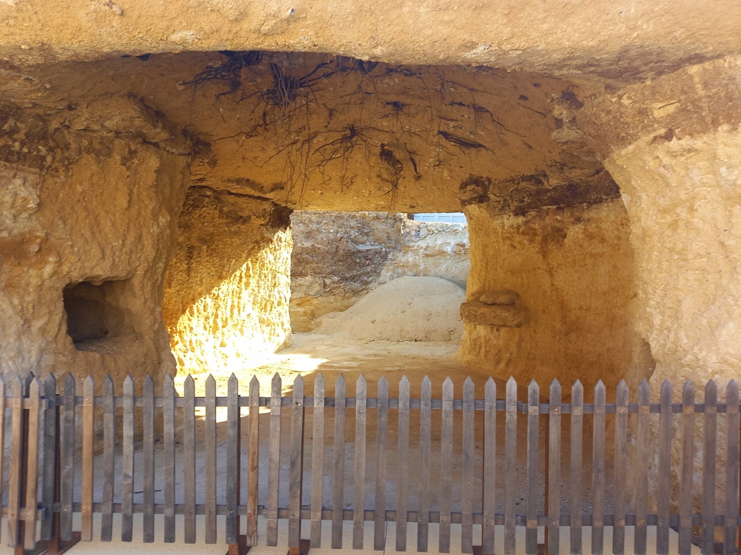 Bioparc Zoo de Doué - Future new aardvarks enclosure