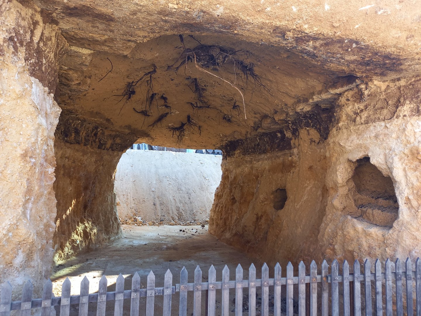 Bioparc Zoo de Doué - Future new aardvarks exhibit