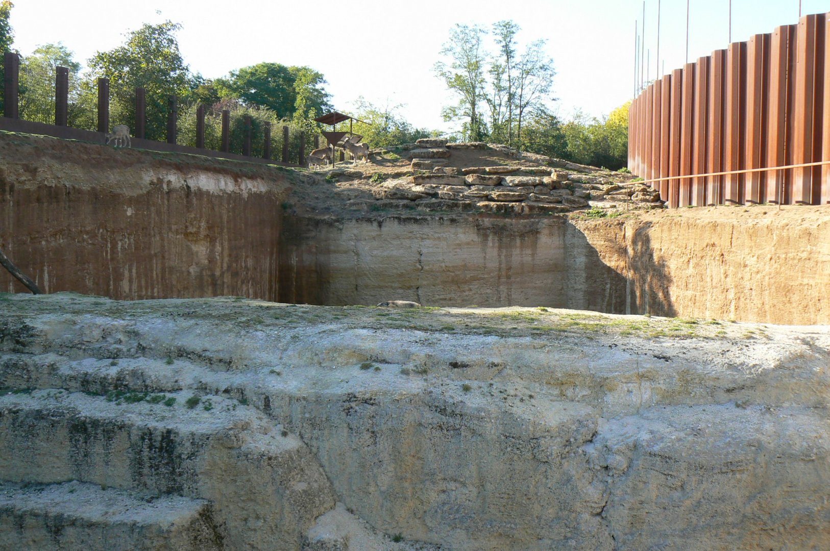 Bioparc Zoo de Doué - Markhor exhibit - where is the alpine marmot ?