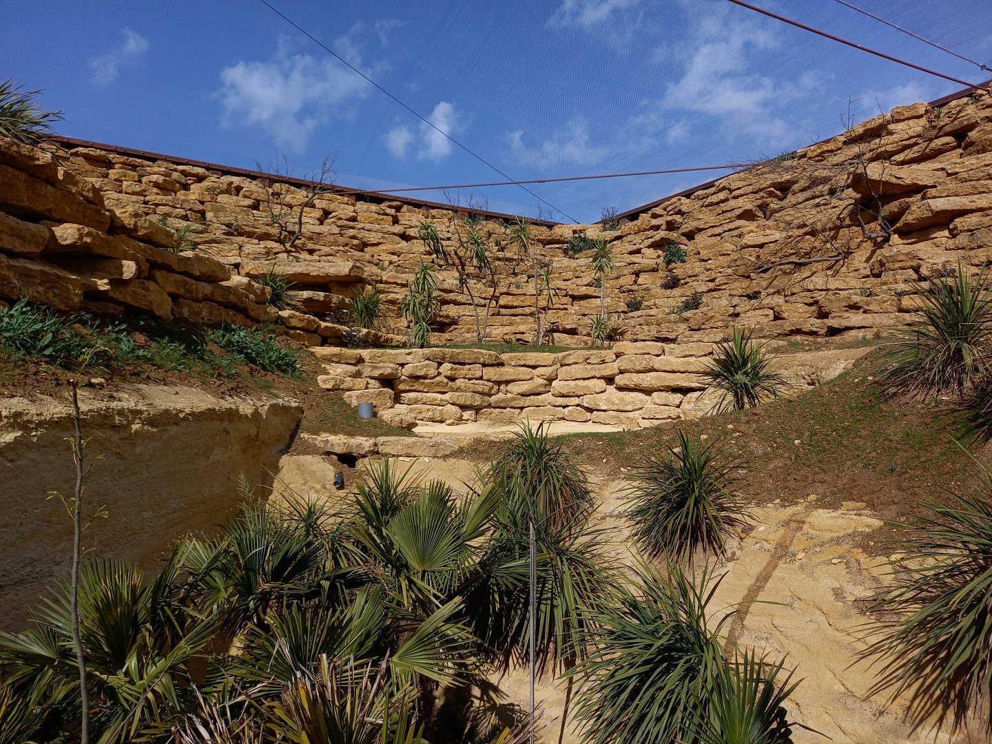 Bioparc Zoo de Doué - New african dry aviary