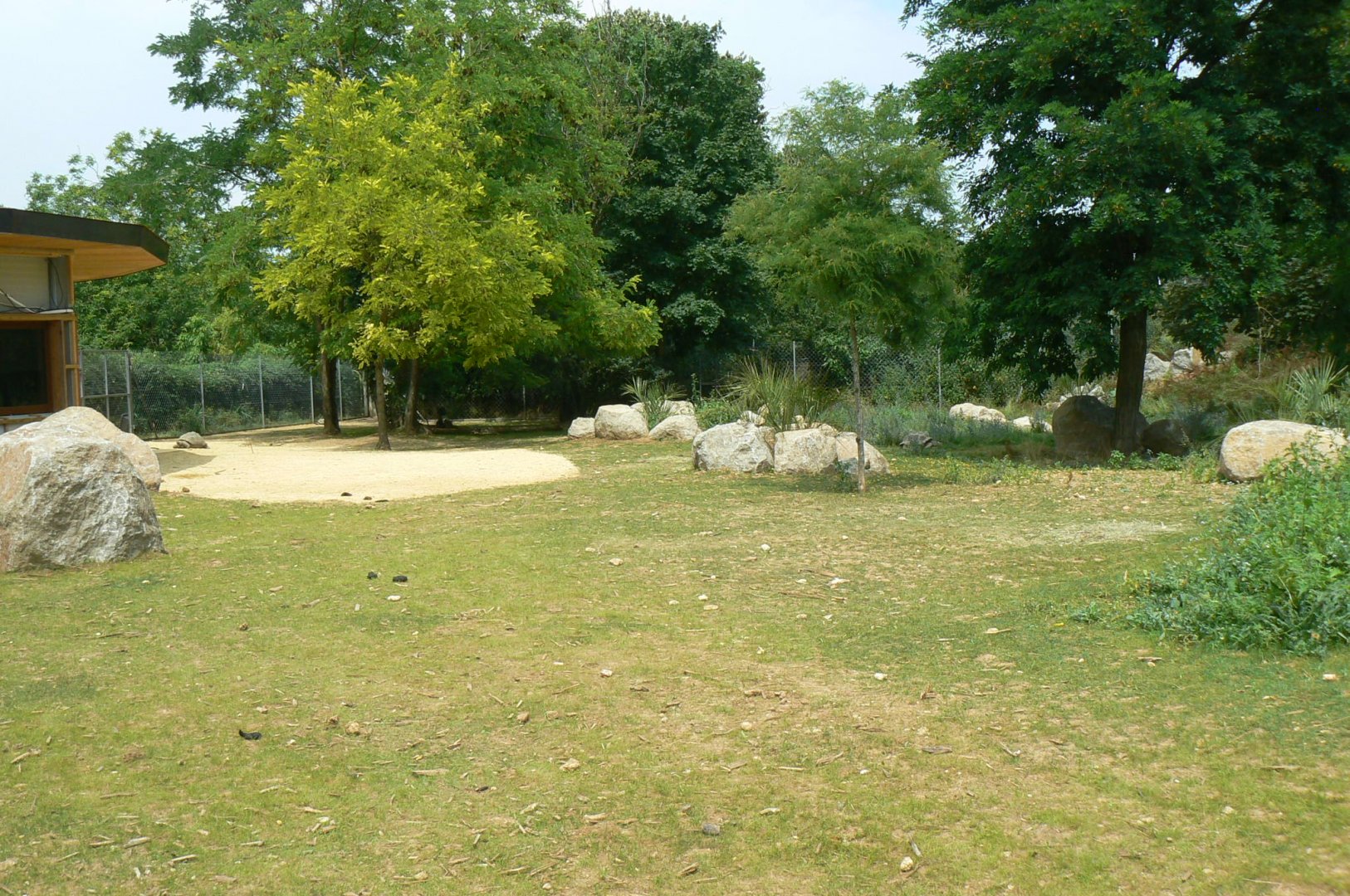 Bioparc Zoo de Doué - New Aldabra's giant tortoises and radiated tortoises exhibit