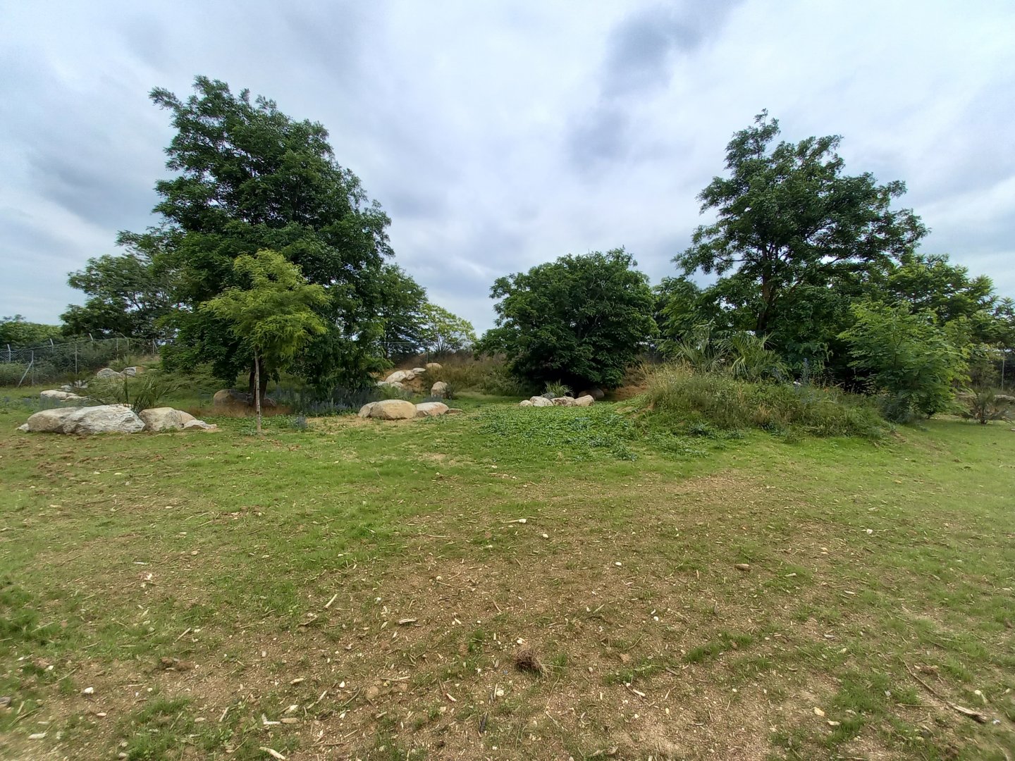 Bioparc Zoo de Doué - New Aldabra's giant tortoises and radiated tortoises exhibit