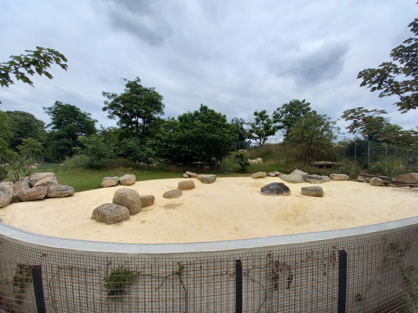 Bioparc Zoo de Doué - New Aldabra's giant tortoises and radiated tortoises exhibit