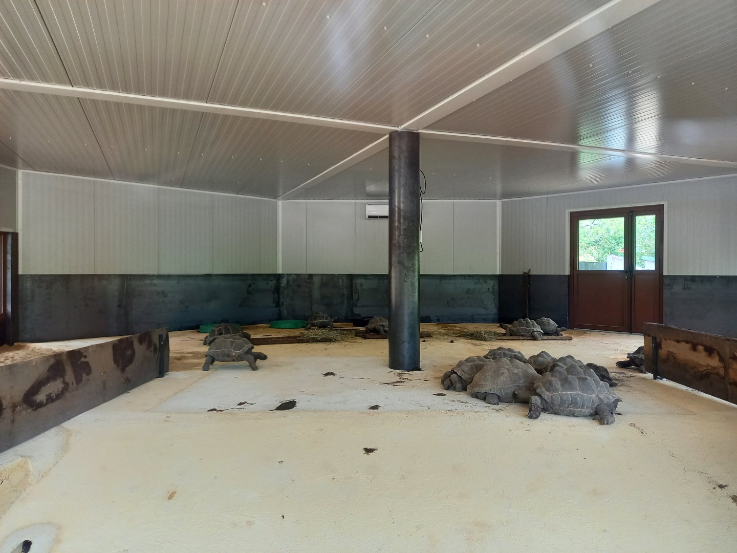 Bioparc Zoo de Doué - New Aldabra's giant tortoises and radiated tortoises house