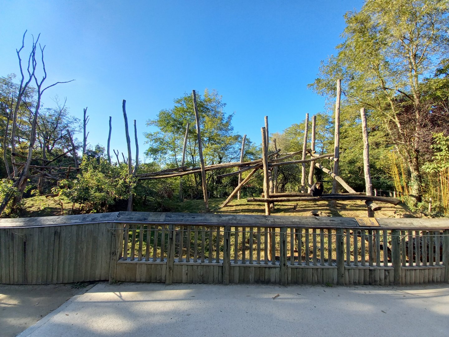 Bioparc Zoo de Doué - Spectacled bear exhibit