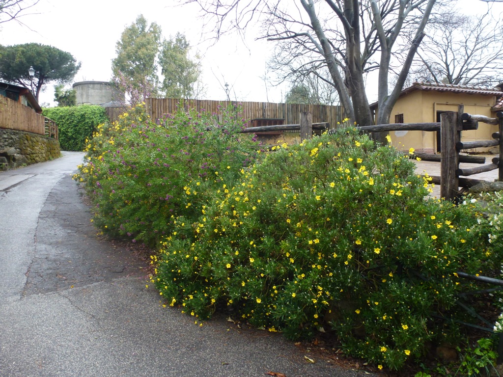 Bioparco di Roma 5.4.15