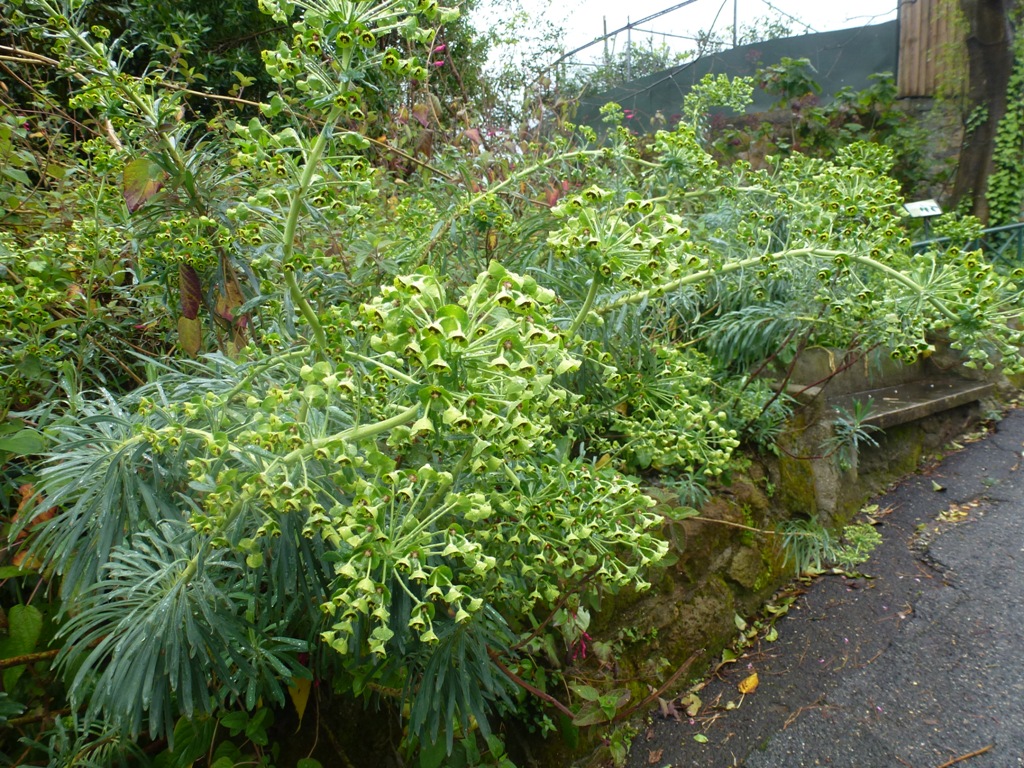 Bioparco di Roma 5.4.15