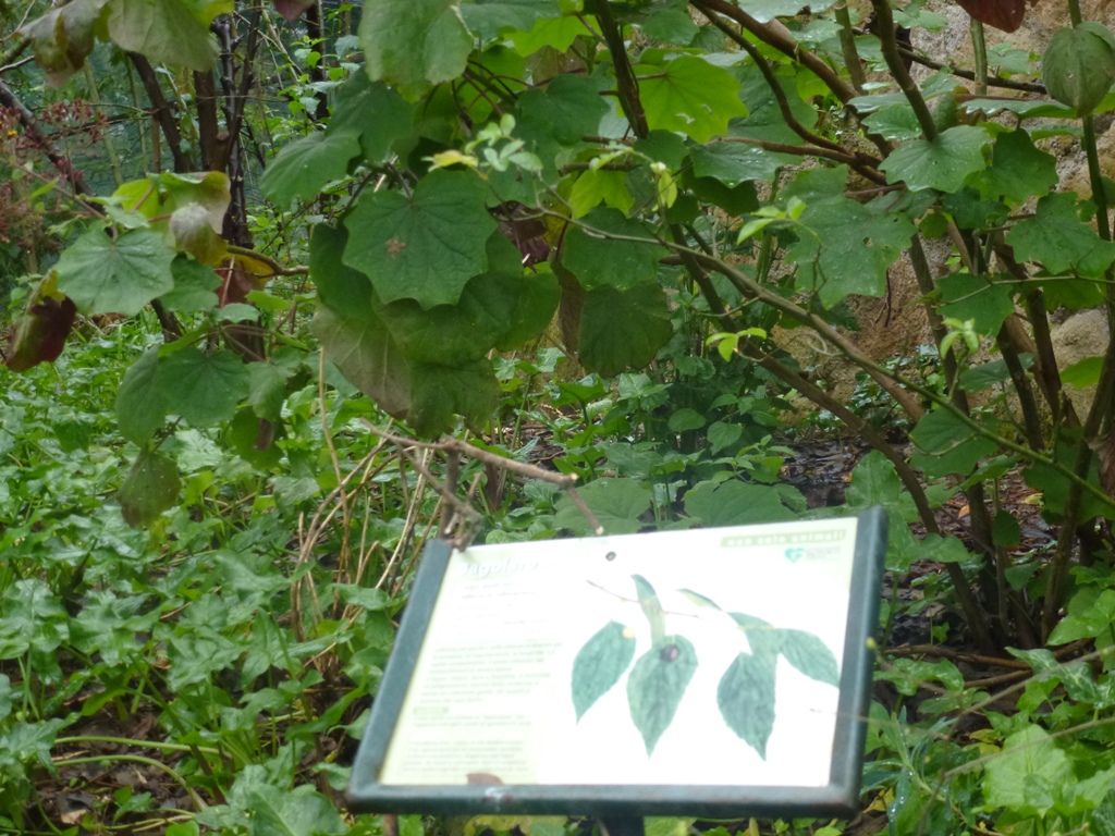 Bioparco di Roma 5.4.15