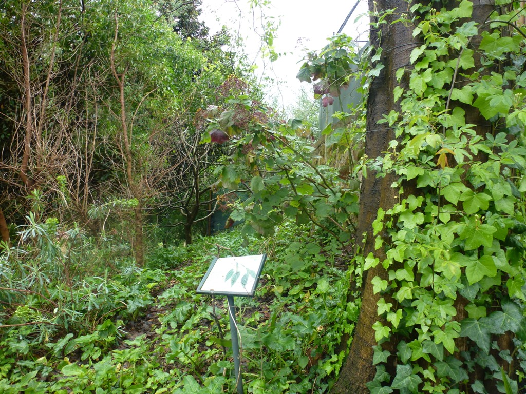 Bioparco di Roma 5.4.15