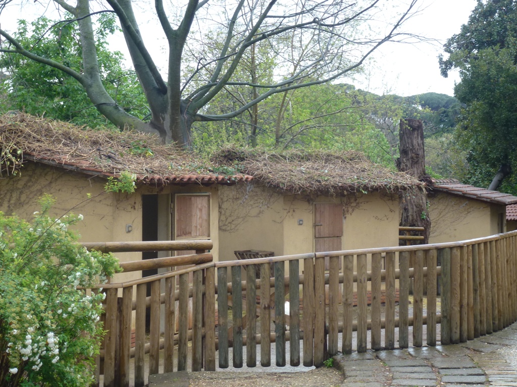 Bioparco di Roma 5.4.15