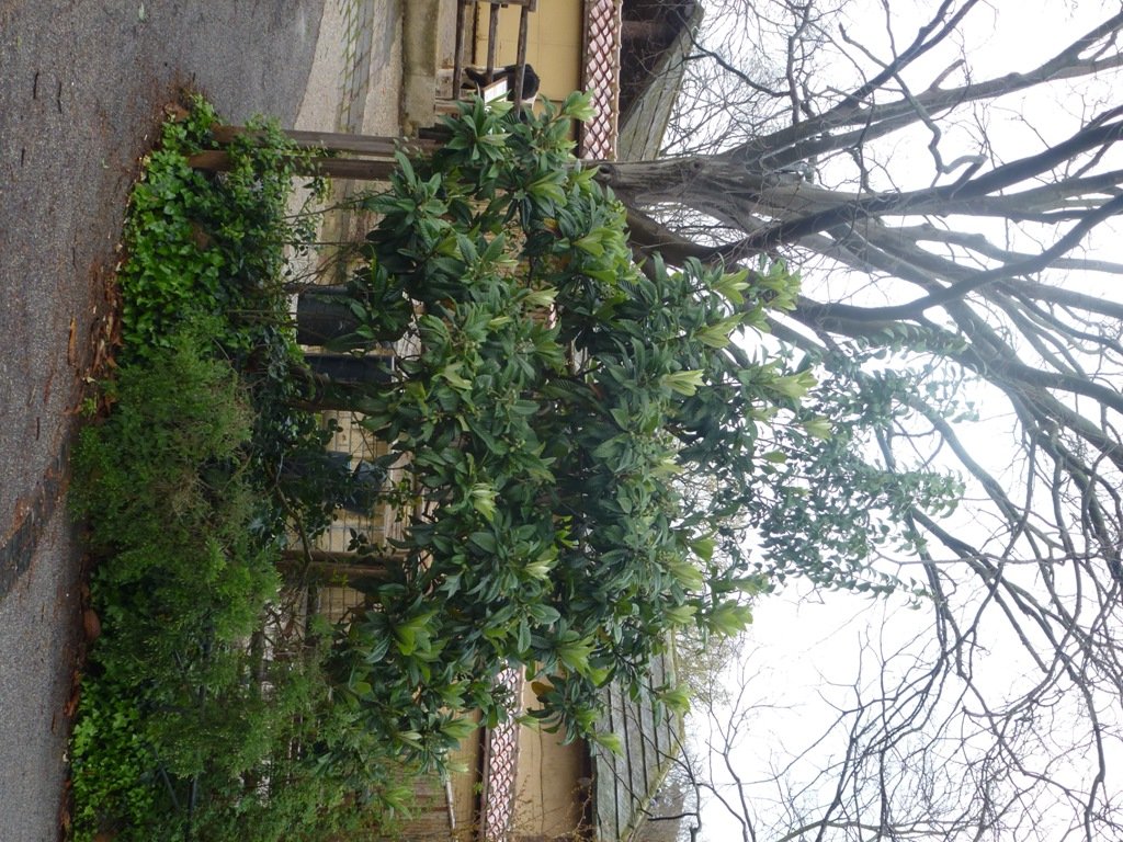 Bioparco di Roma 5.4.15