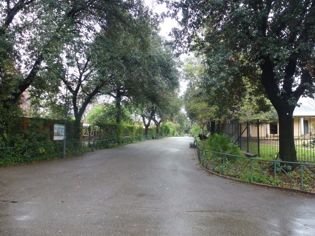 Bioparco di Roma 5.4.15