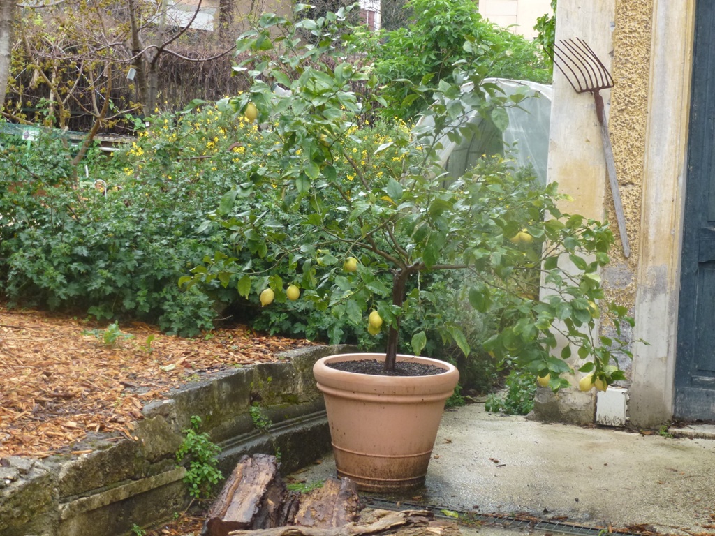 Bioparco di Roma 5.4.15