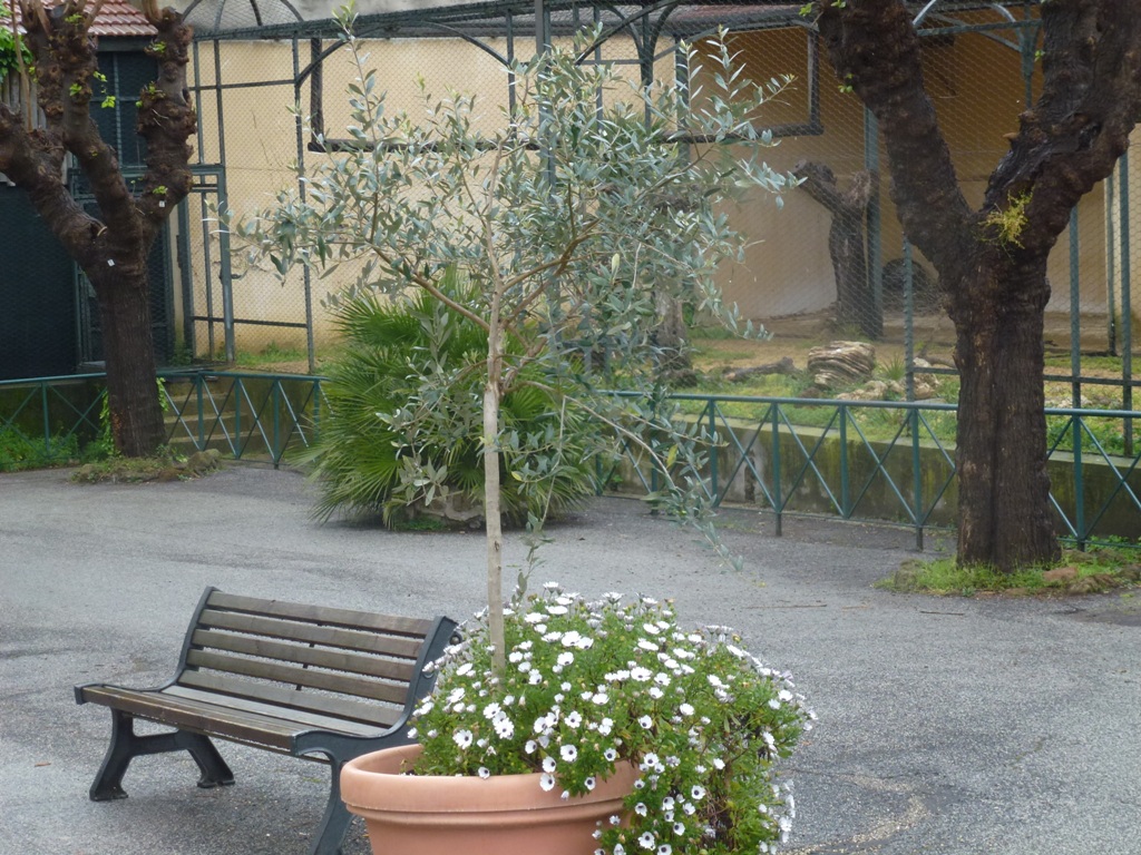 Bioparco di Roma 5.4.15