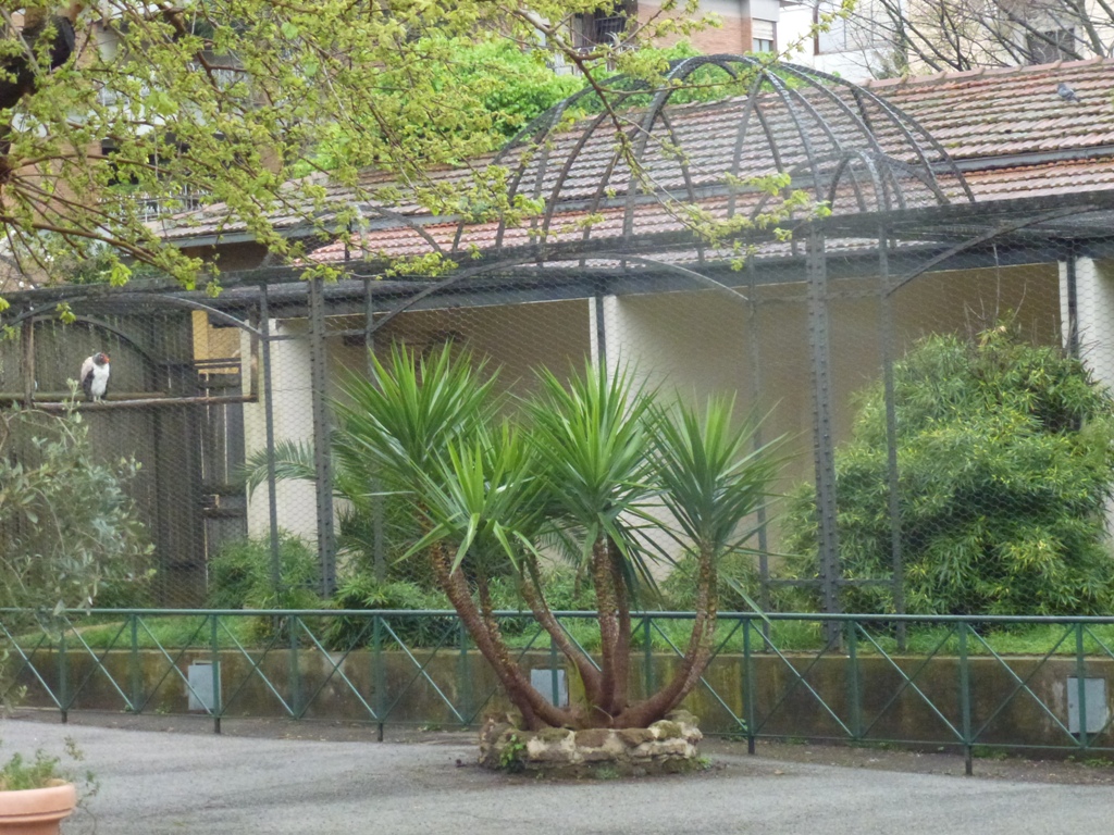 Bioparco di Roma 5.4.15