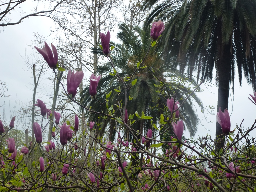 Bioparco di Roma 5.4.15