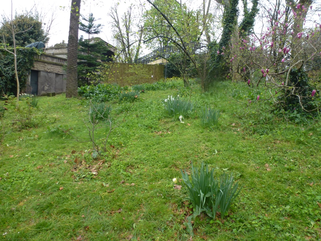 Bioparco di Roma 5.4.15