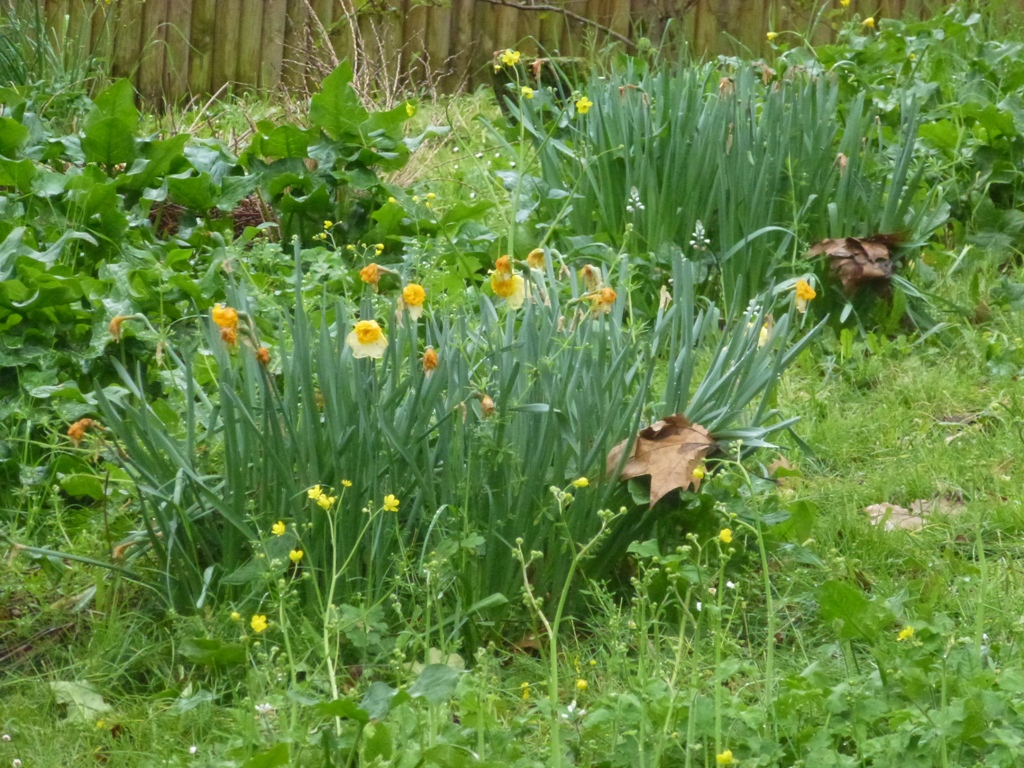 Bioparco di Roma 5.4.15