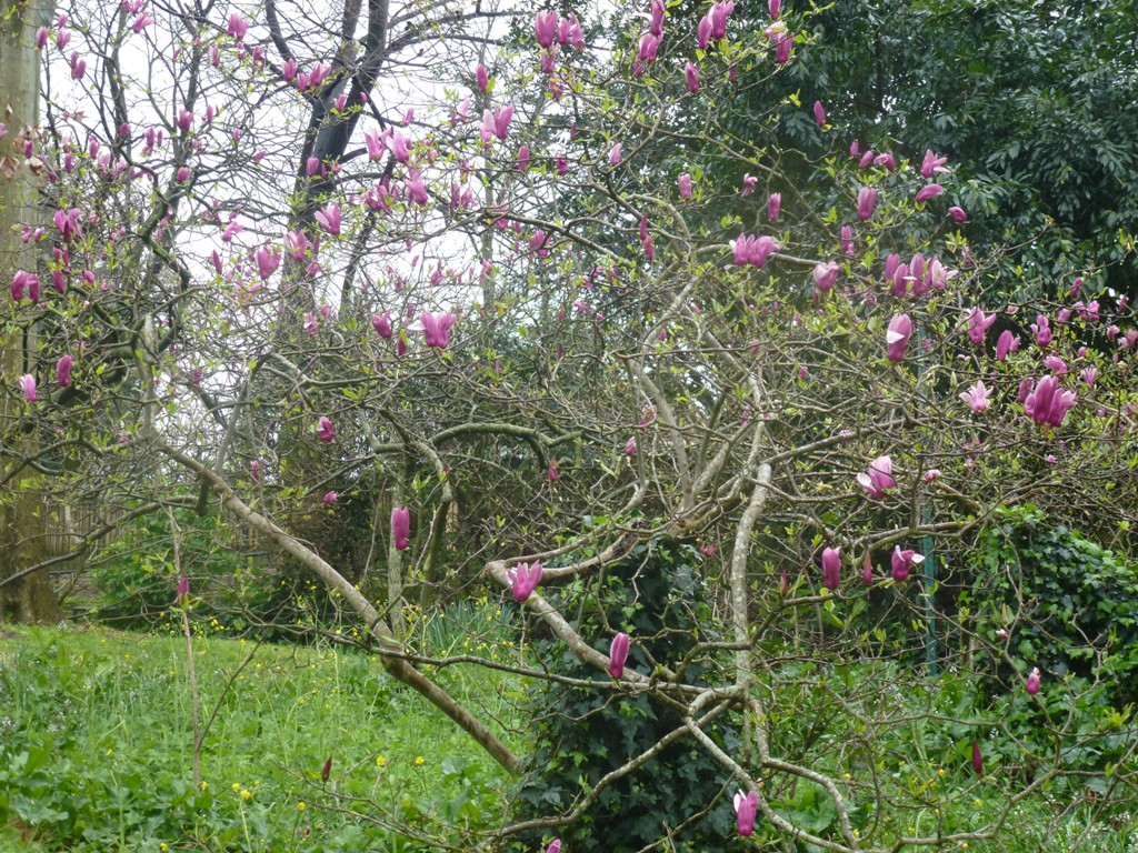 Bioparco di Roma 5.4.15