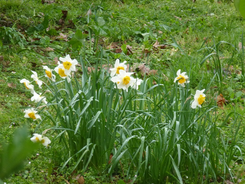 Bioparco di Roma 5.4.15