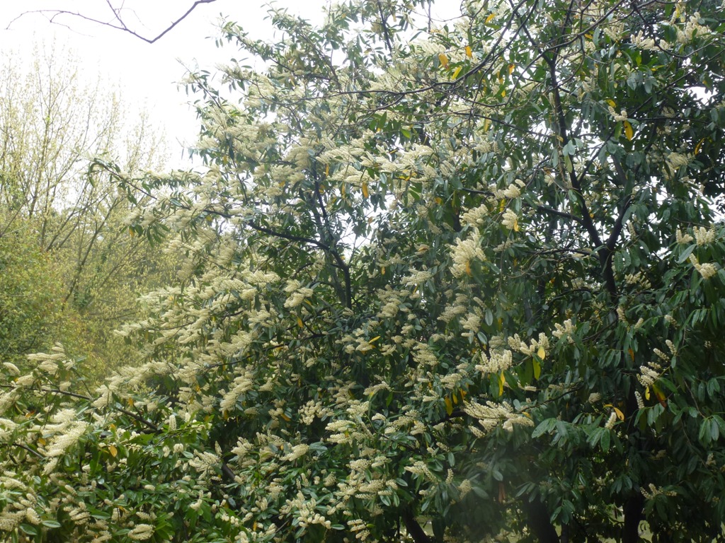 Bioparco di Roma 5.4.15