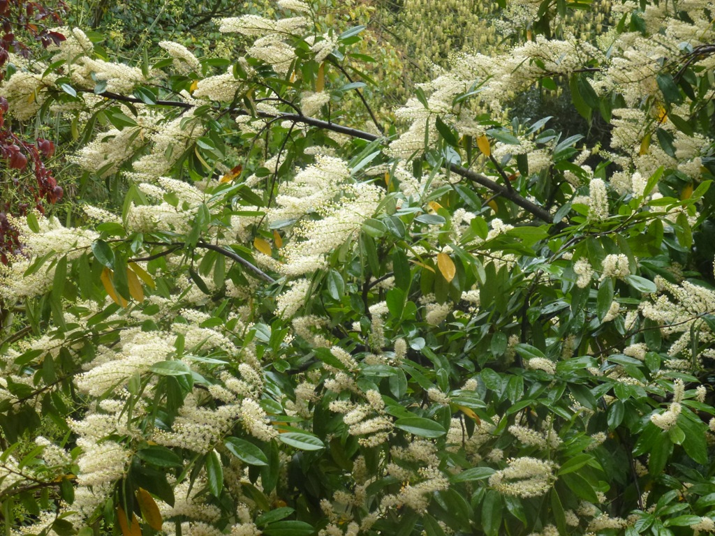 Bioparco di Roma 5.4.15