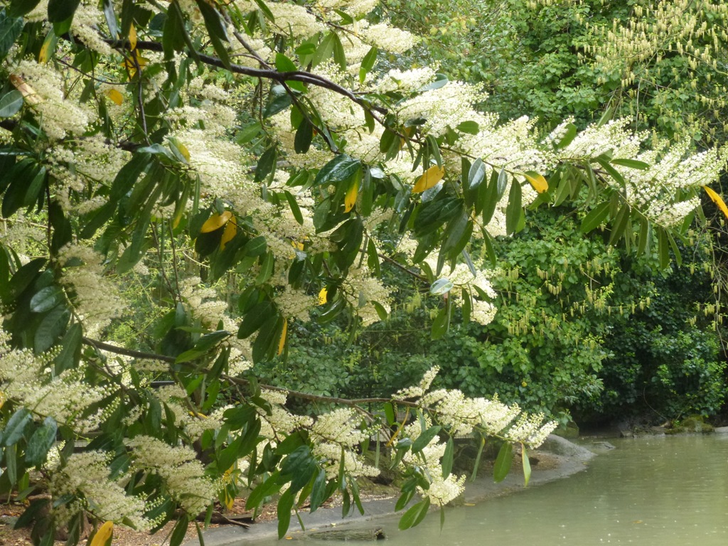 Bioparco di Roma 5.4.15