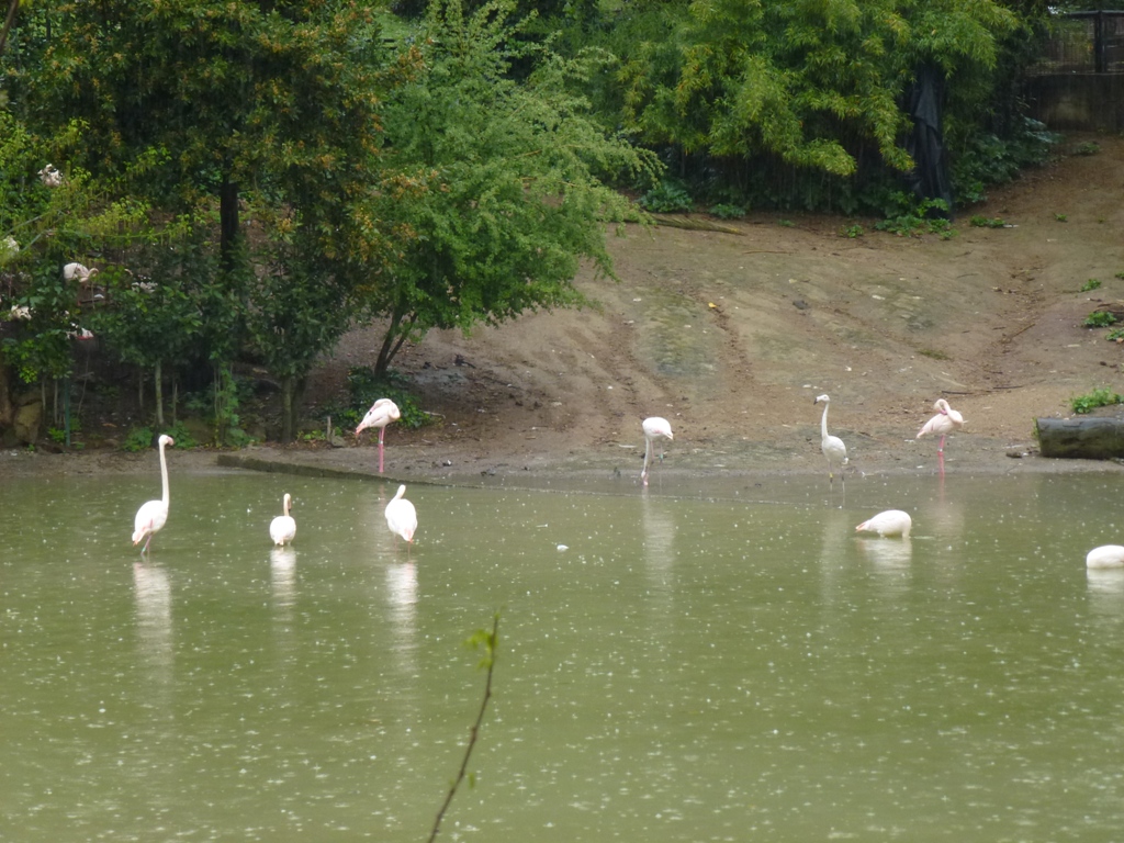 Bioparco di Roma 5.4.15