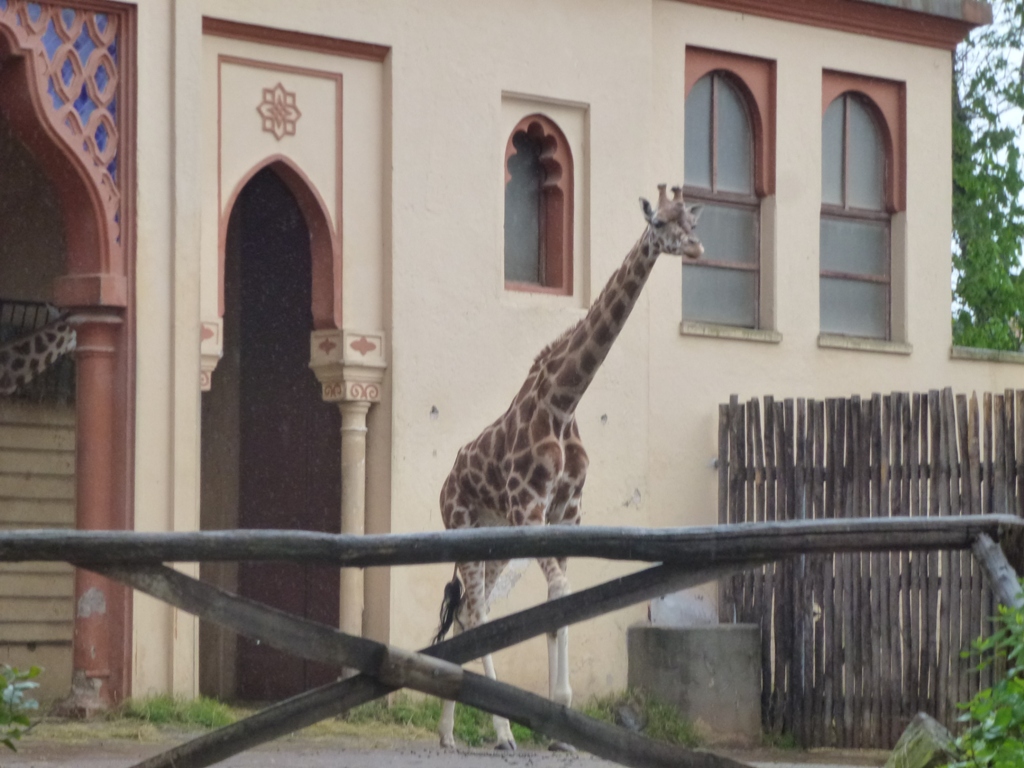 Bioparco di Roma 5.4.15
