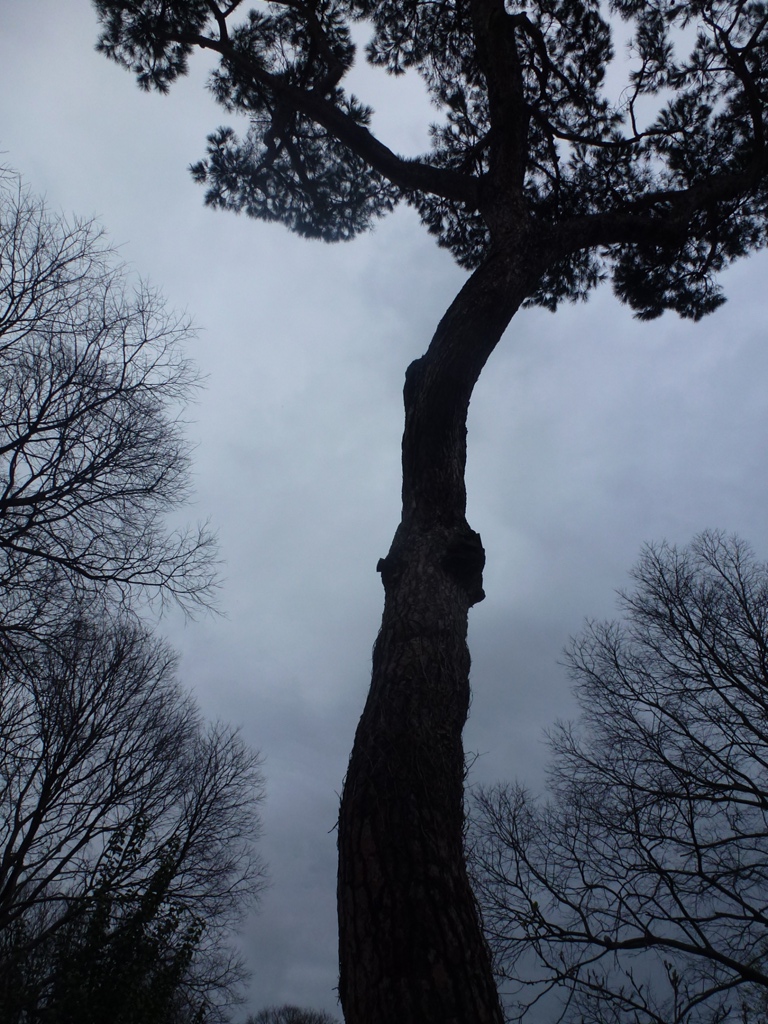 Bioparco di Roma 5.4.15