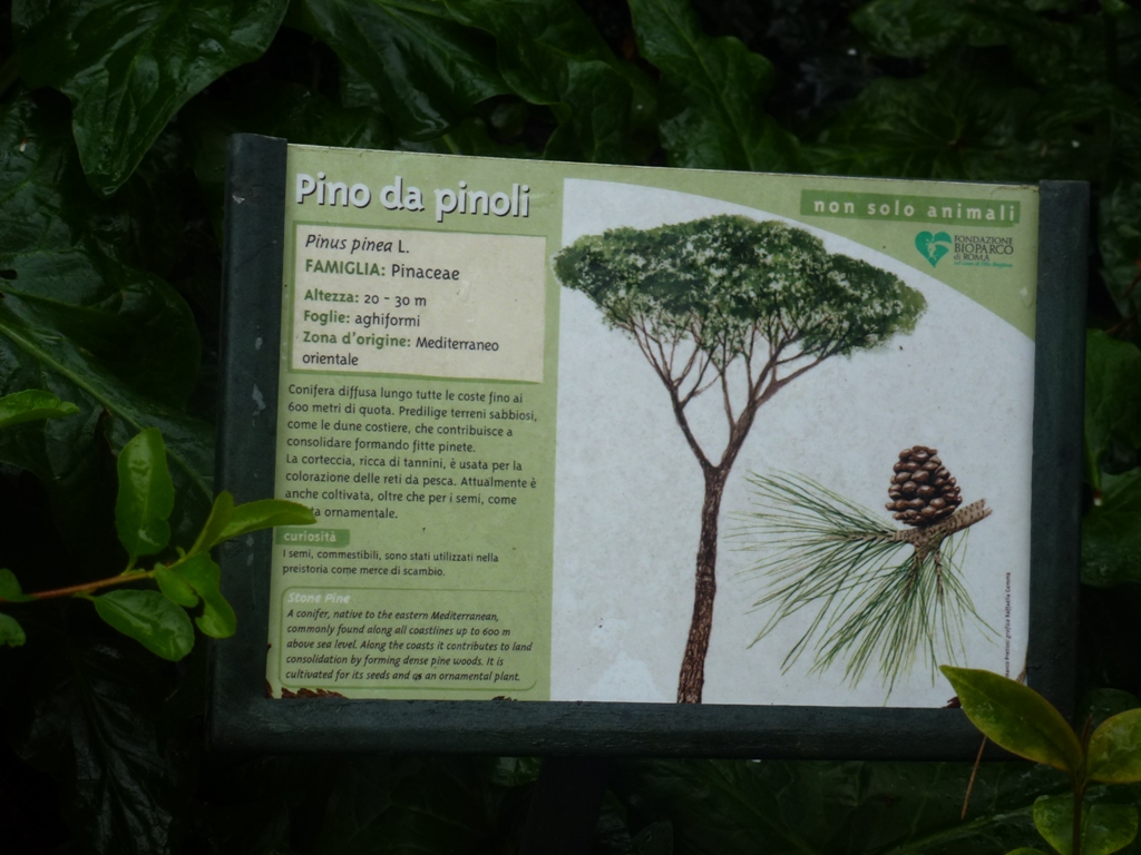 Bioparco di Roma 5.4.15