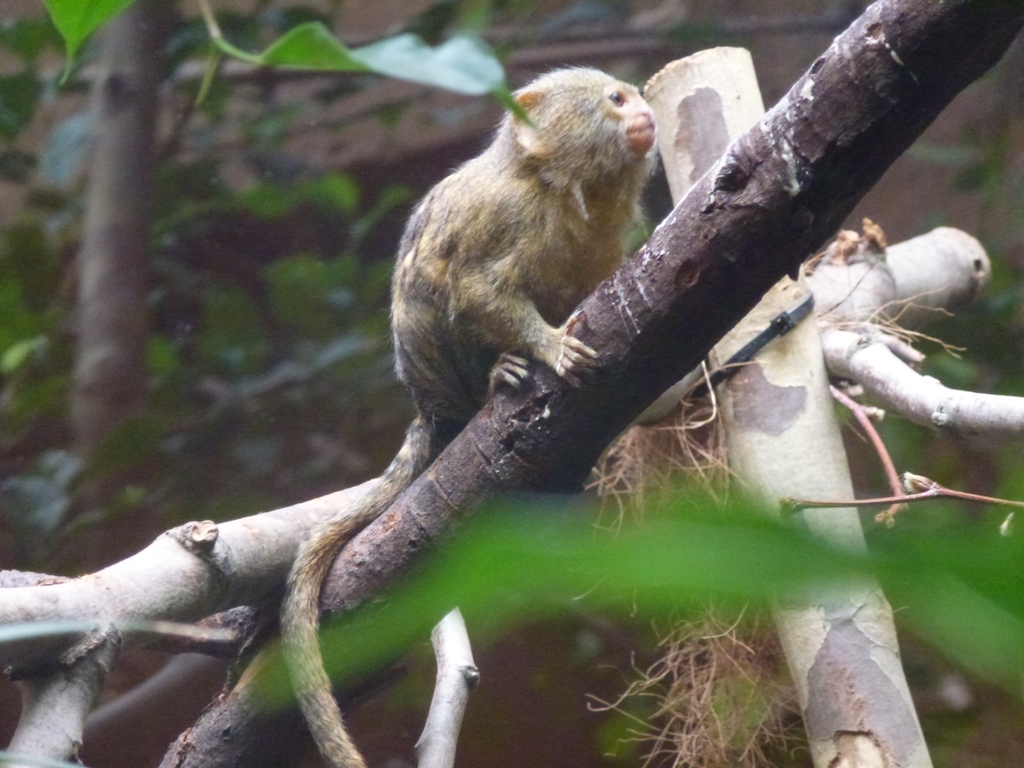 Bioparco di Roma 5.4.15