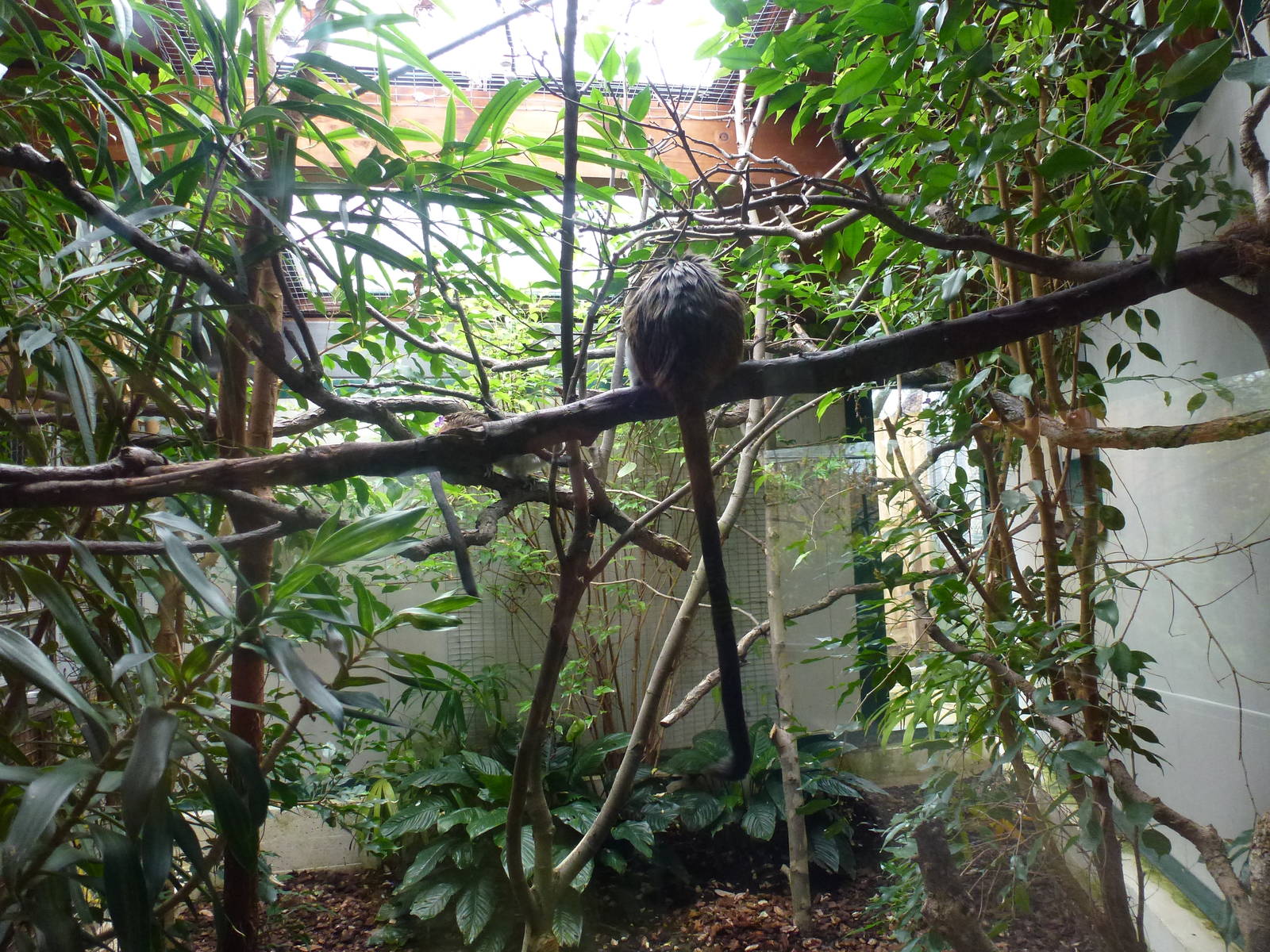 Bioparco di Roma 5.4.15