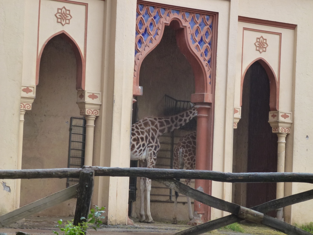 Bioparco di Roma 5.4.15