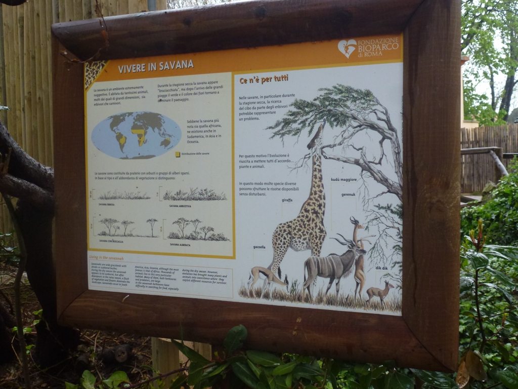 Bioparco di Roma 5.4.15