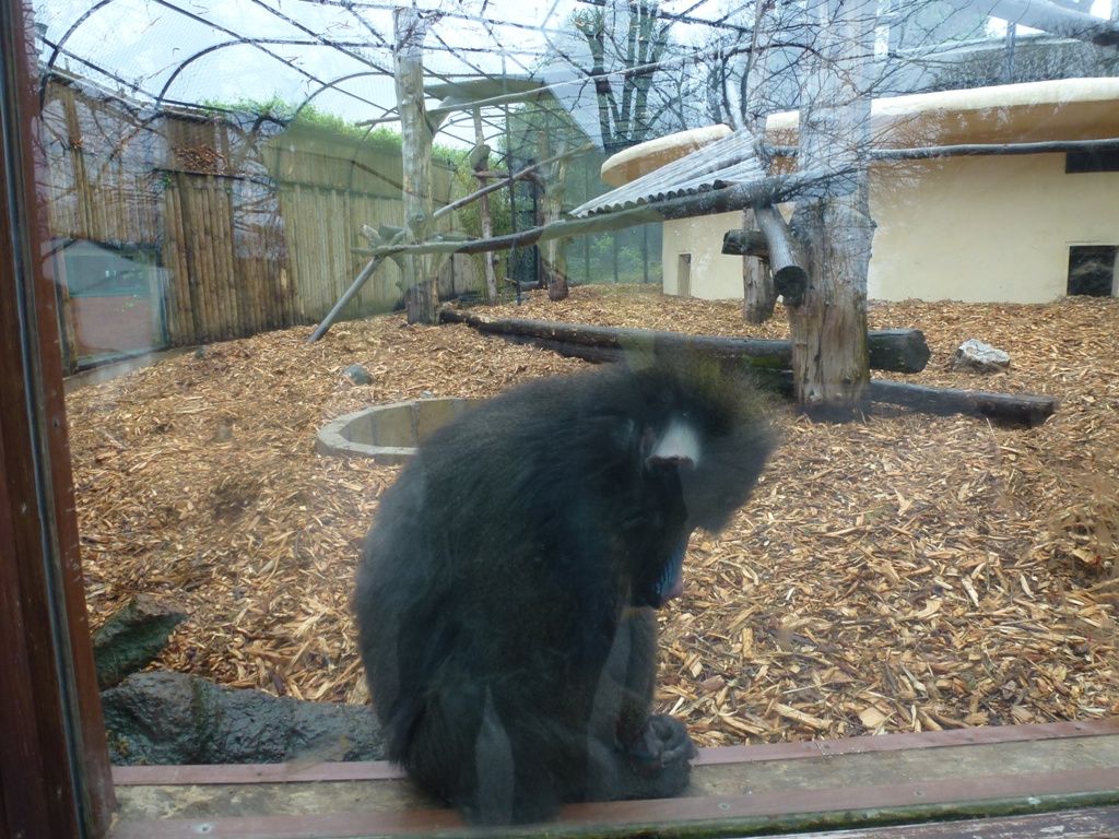 Bioparco di Roma 5.4.15