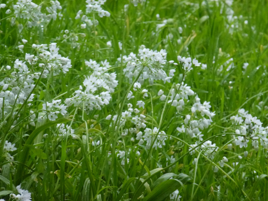Bioparco di Roma 5.4.15