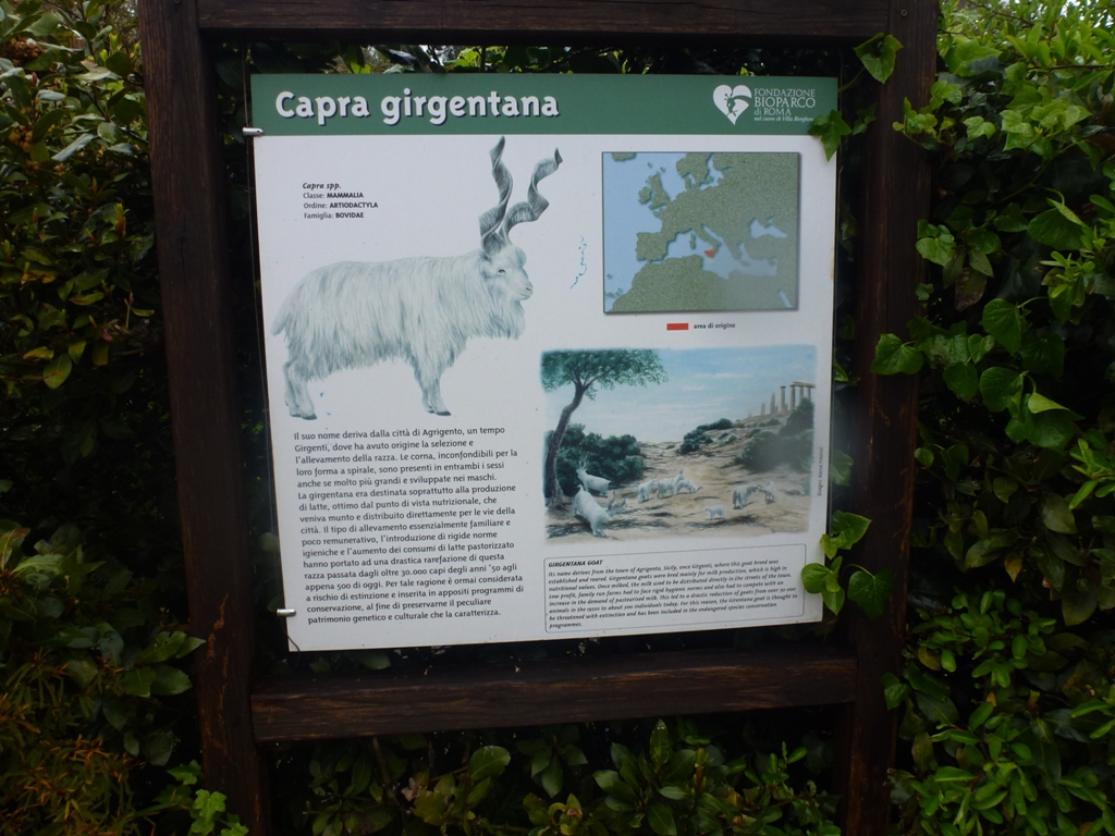 Bioparco di Roma 5.4.15