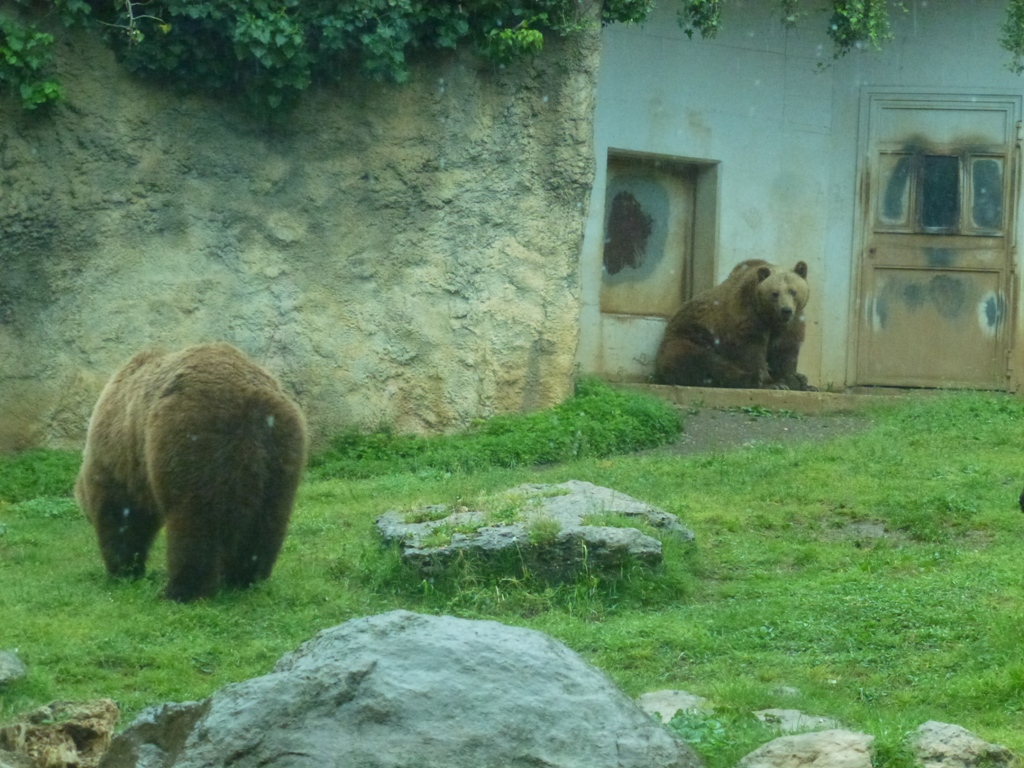 Bioparco di Roma 5.4.15
