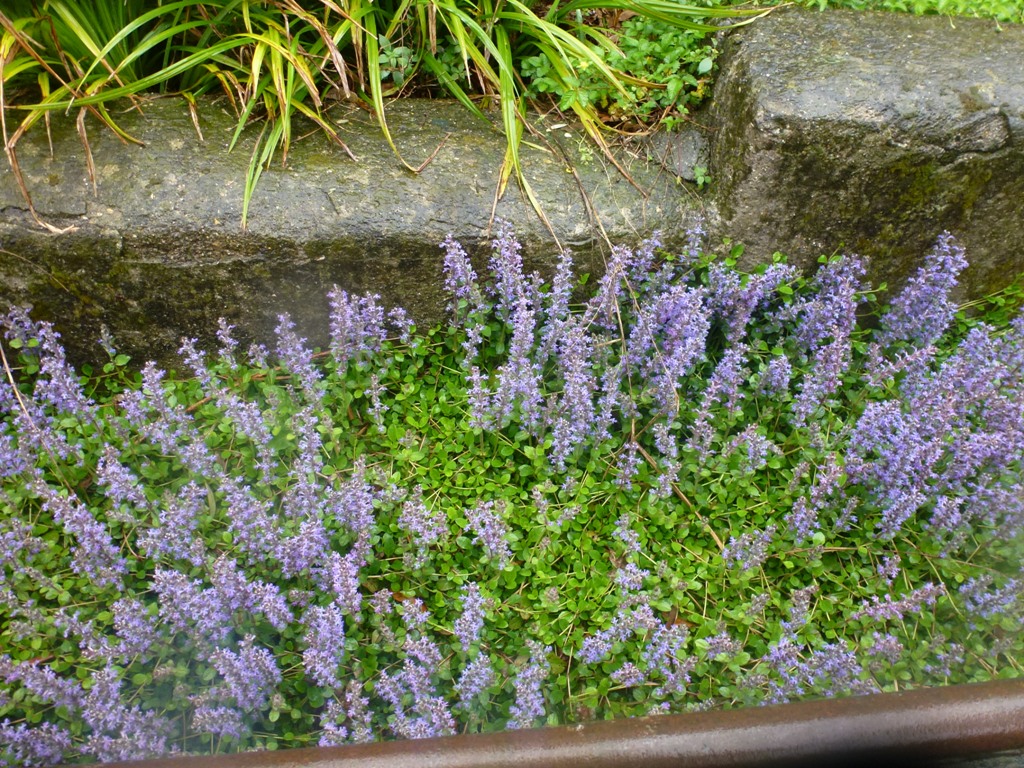 Bioparco di Roma 5.4.15