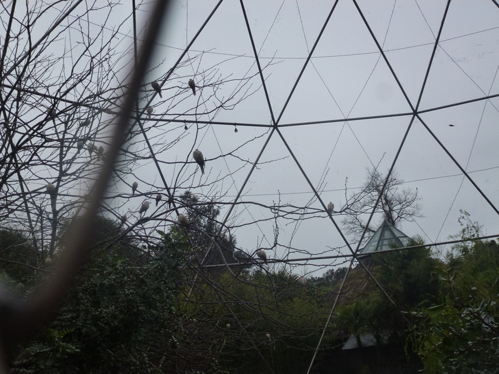 Bioparco di Roma 5.4.15