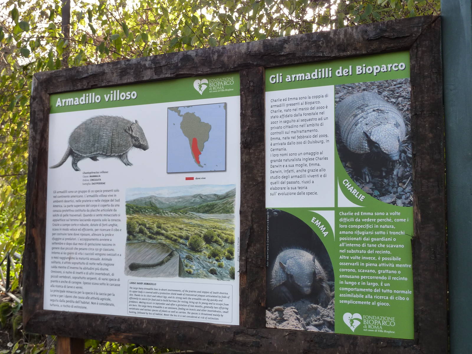 Bioparco Roma - Armadillo signage