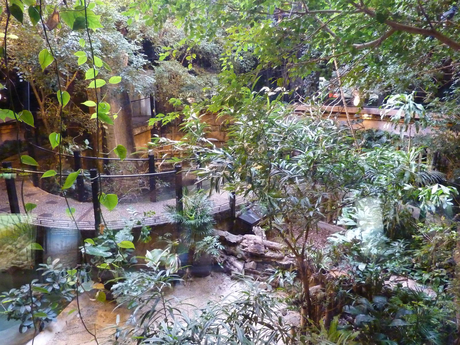 Bioparco Roma - Central hall in reptile house