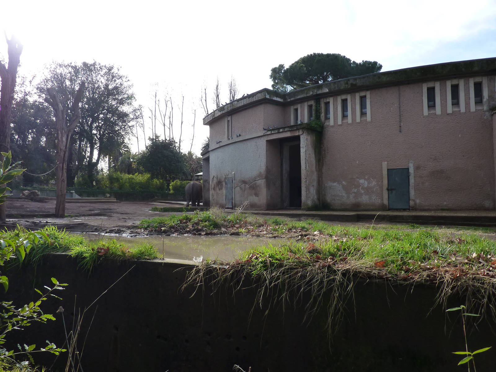 Bioparco Roma - Elephant enclosure