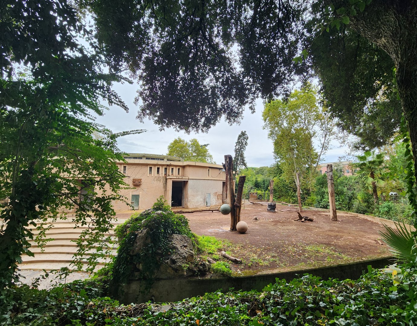 Bioparco Roma - Elephant yard