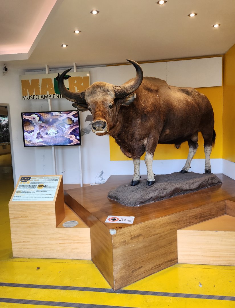 Bioparco Roma - Entrance to "Environmental Crime Museum"