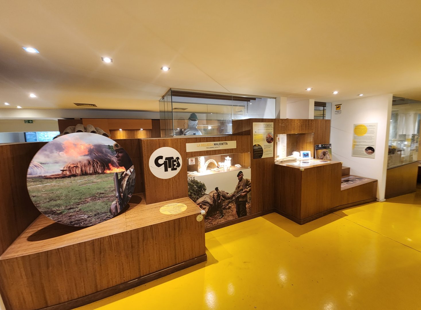 Bioparco Roma - "Environmental Crime Museum"