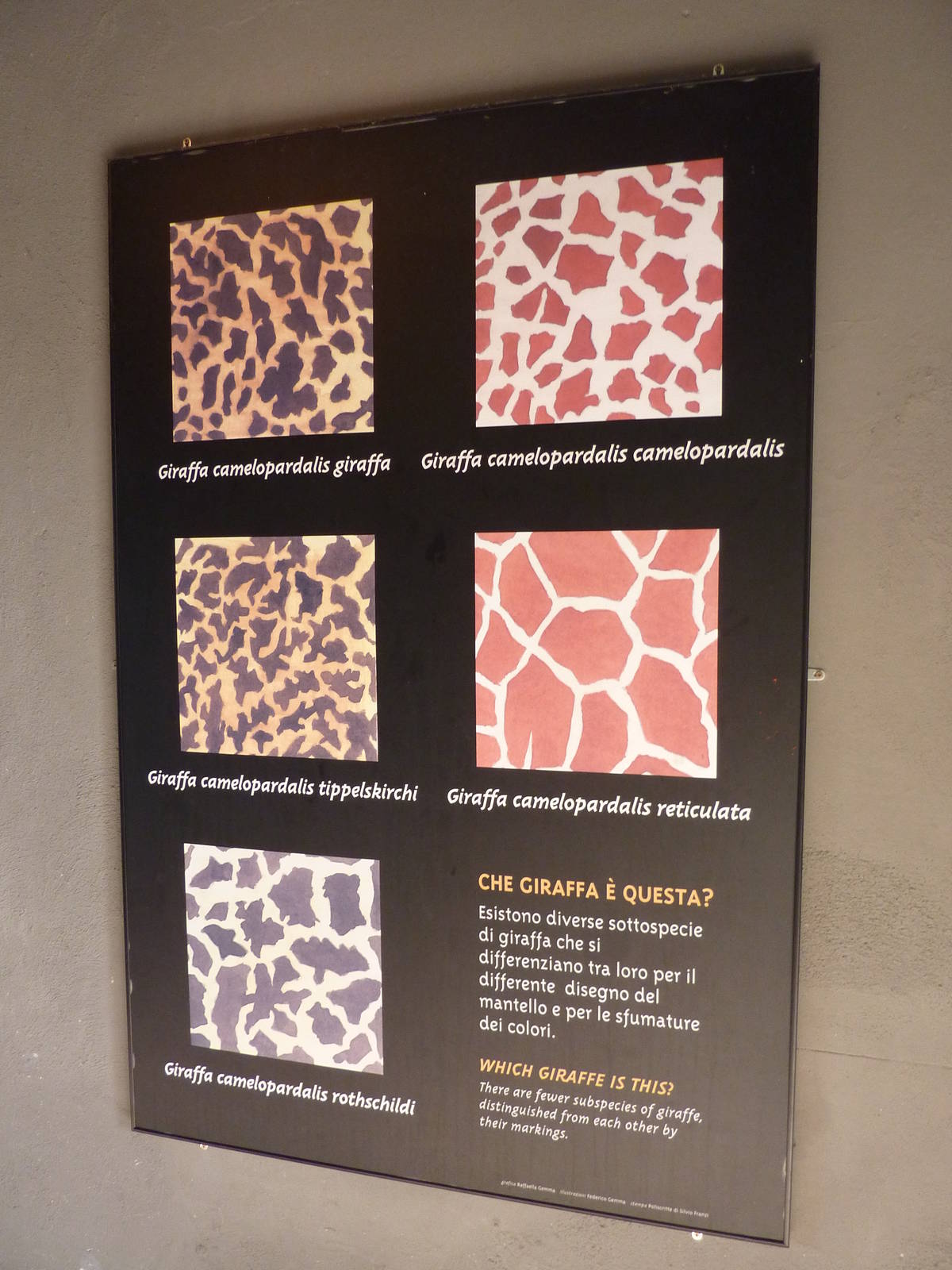 Bioparco Roma - Giraffe signage