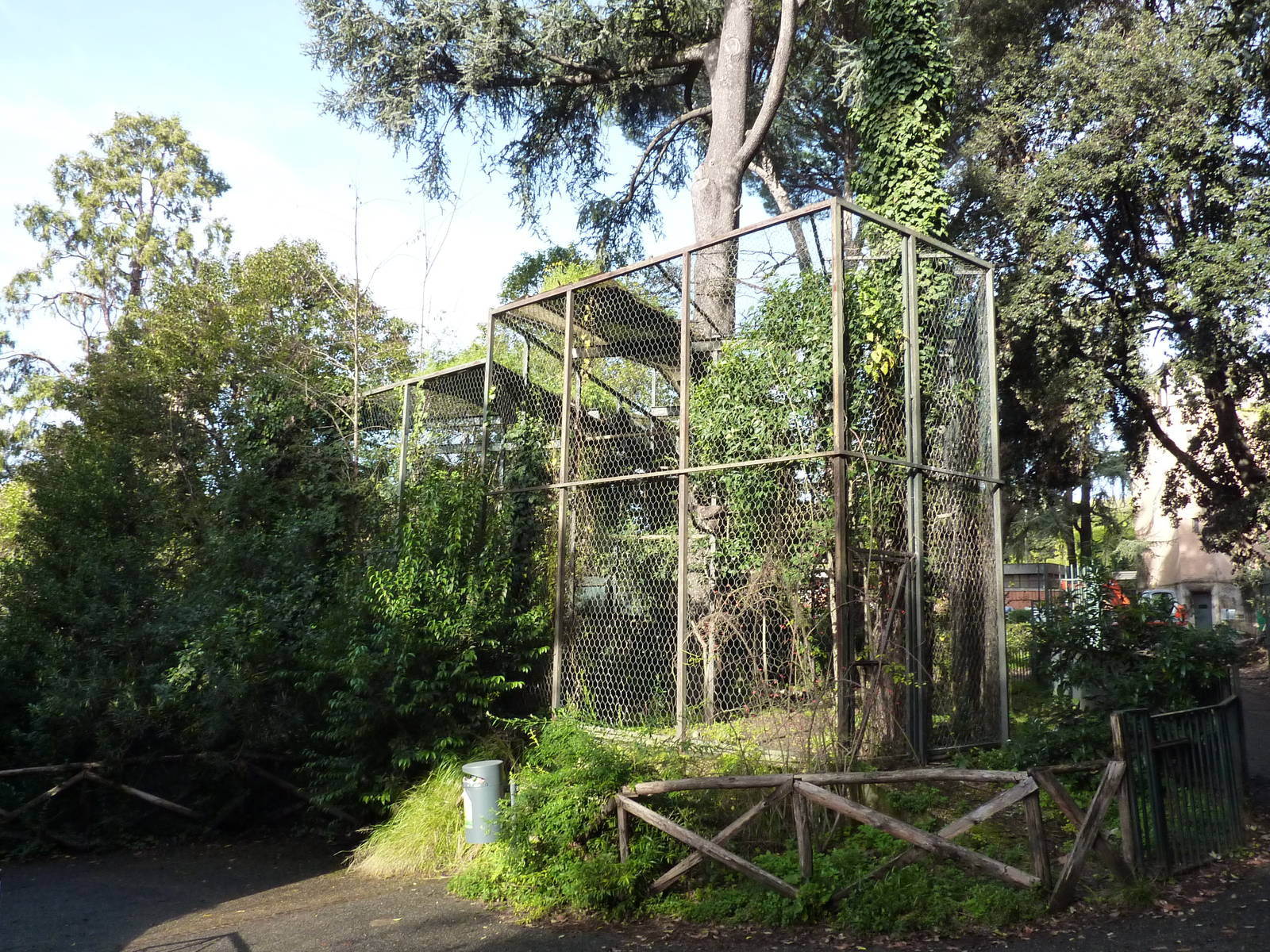 Bioparco Roma - Golden eagle aviary